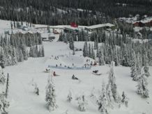 Aeirial image of Telus Park