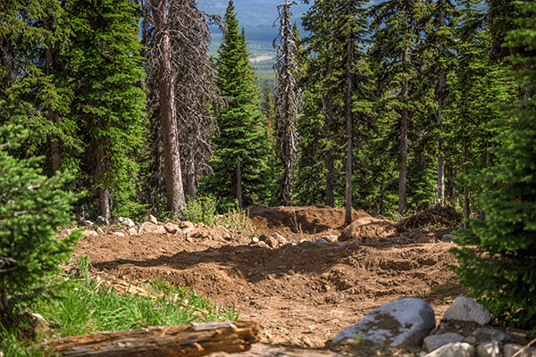 Bike Park upgrades