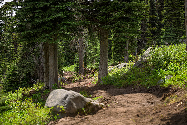 Bike Park upgrades