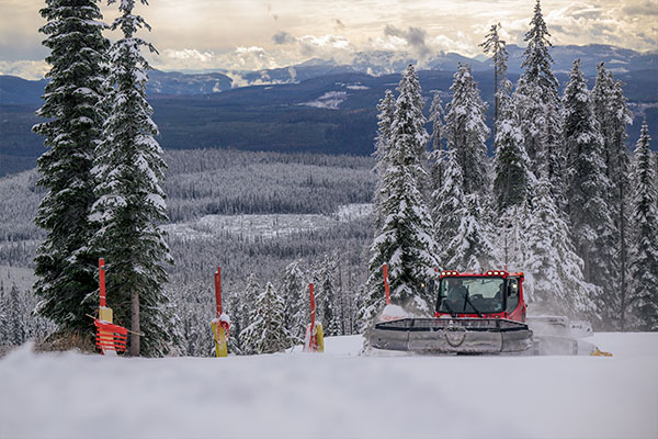 groomers