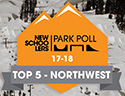 New Schoolers Park Poll