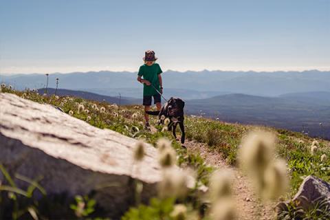 hiking with dogs